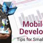 Small Business App Development