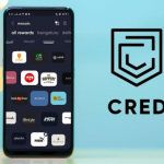 How Much Does It Cost to Develop a Payment App Like Cred