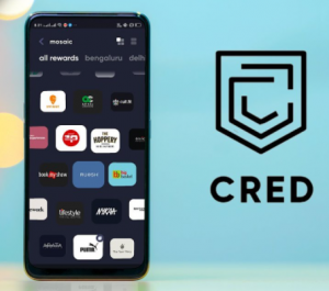 How Much Does It Cost to Develop a Payment App Like Cred